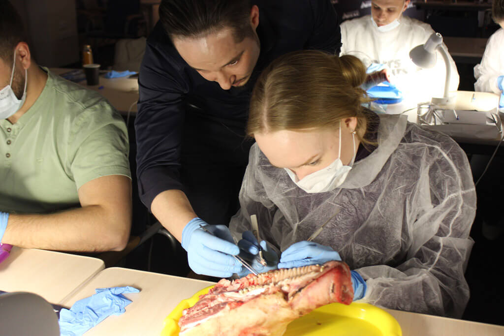 Фотоотчёт с курса Атрофия костной ткани. Инструкции по восстановлению. Фото № 3